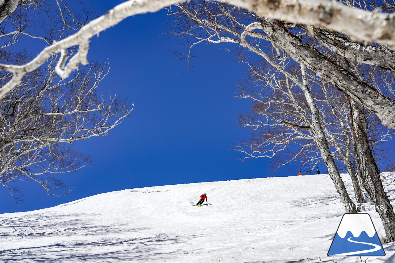 ニセコグラン・ヒラフ DYNASTAR SKI TEST RIDE DAYS Photo Session!!最高の天気に恵まれたニセコに、最高の仲間たちが集まりました☆